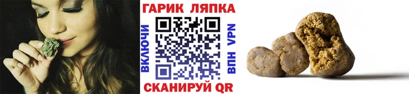 ГАШ Premium  ссылка на мегу как зайти  Невель  наркота 