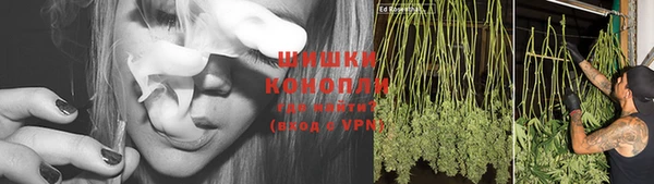 Альфа ПВП Бугульма