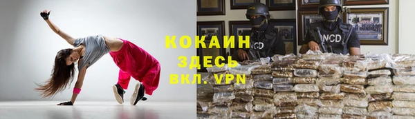 мескалин Богородицк
