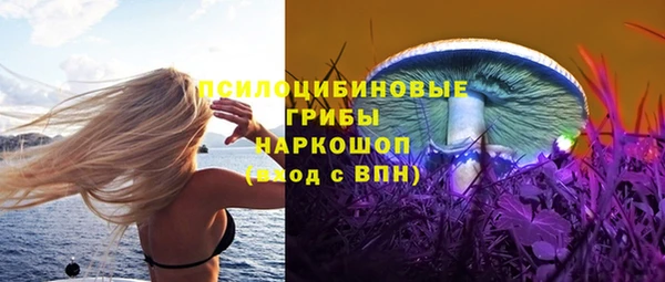 a pvp Богданович